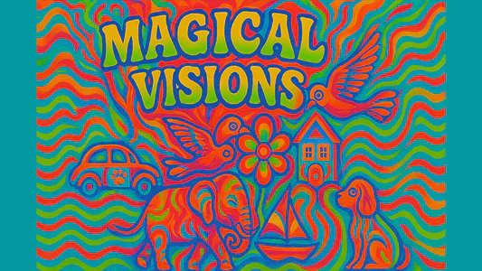 Magical Visions by Matthew Wright (Warehouse Find)