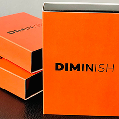 Diminish by Damian Surr