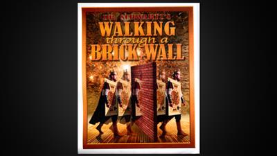 Walking Thru a Brick Wall by Martin Schwartz