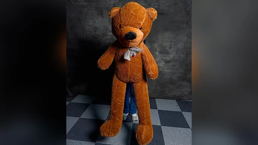 Teddy Bear Appearance (Extra Large) by MS Magic