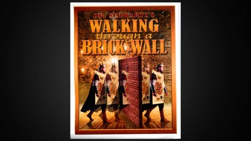 Walking Thru a Brick Wall by Martin Schwartz