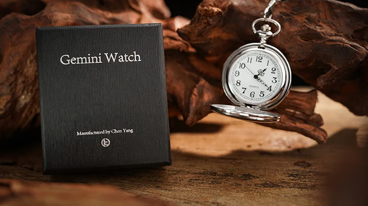 The Gemini Watch